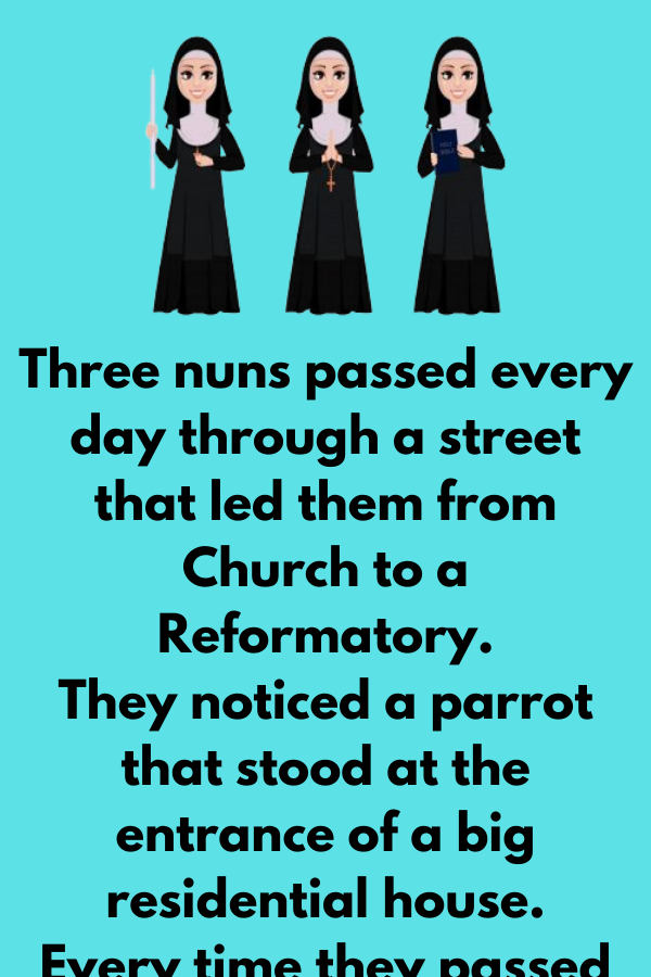 The Three Nuns - Zizoma